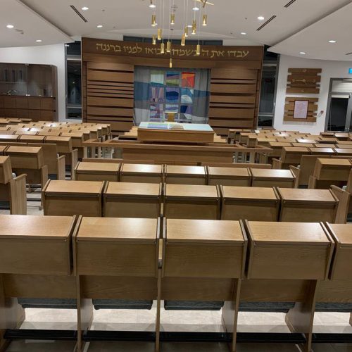 בית הכנסת ׳רננים׳ חלק ב (17)